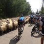 Today the traffic in the south of Italy wasn't the problem during our TTT training... #Haha #Giro2013