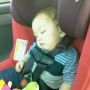 @paparatti Woolet Status: asleep.