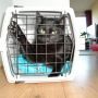 Ze is er gelukkig uitzichzelf ingelopen... Op naar de dierenarts voor de operatie :-( #spannend
