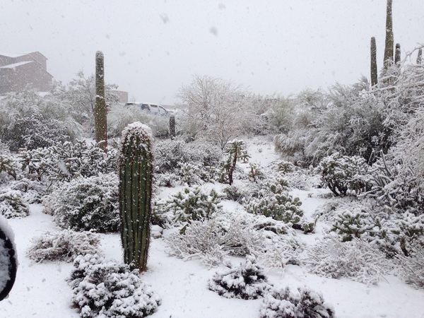 Luke Donald tweeted this pic