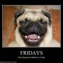Happy Friday!!! 