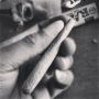 Jet Life... Jernts look like BATS!!!