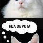 Eso me hicieron ayer!