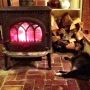 Cat, stove, wood. #cats #newengland #fb