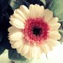 Test1 foto app ... Don't watch