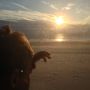 Lekker fris op 't strand!
