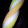 #Beluga #IceCream