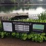 ロンドン。公園内のサーベンタイン湖を横断するソーラー舟があるらしいがこちらは昼から３０分間隔の運航と言うことで次回のお楽しみに。