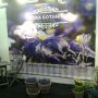 Dreaming of Spring? Visit #FloraBotanica at #FHTF.