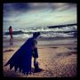 #BATMAN on the beach #fistbump
