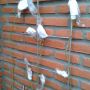 Handschoenen voor de uitlopers van mn balkonroos. Dit jaar geef ik de late #vorst geen kans ze kapot te maken. (...hoop ik)