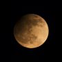 Partial eclipse #luckygapbetweentrees #moonwatch #bbcskyatnight
